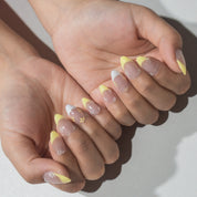 Romantic Yellow Blossoms