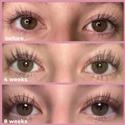 Premium Eyelash Serum