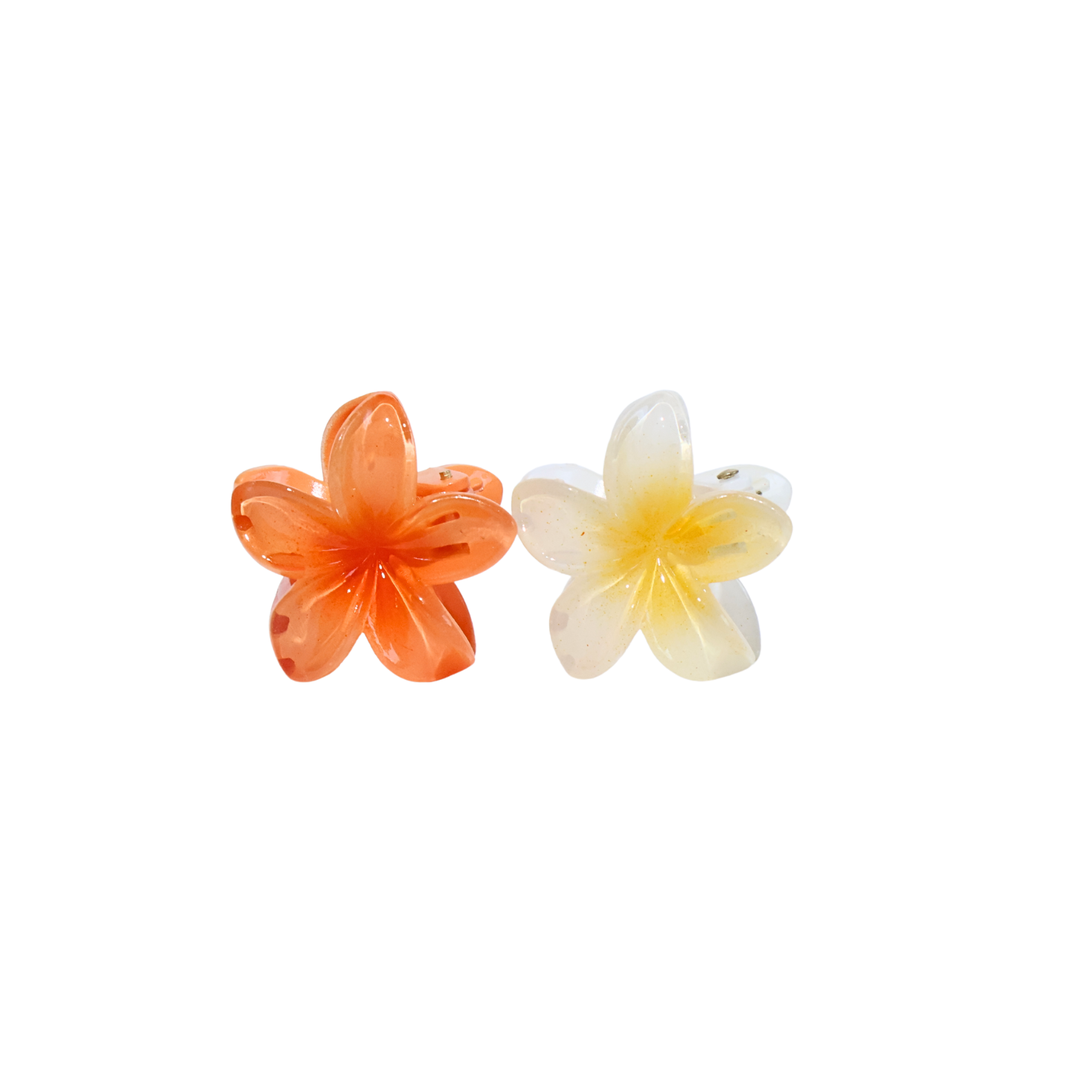 216_01d3f669-0926-40a0-83da-1c66e0c39bd1.png