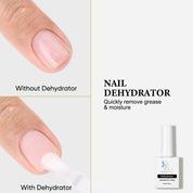 SassyTip Acid Free HEMA TPO Free Nail Dehydrator and Primer Set