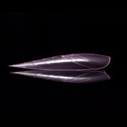 150PCS Pink Crystal Nail Forms — Fast, Flawless, Salon-Perfect Extensions