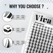 Viva | Trendy Manga Collection Manga Magic Lash Only